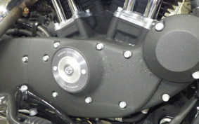 HARLEY XL883N 2012