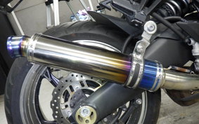 KAWASAKI Z1000 Gen.4 2010