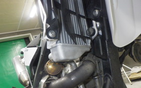 YAMAHA WR250X 2021 DG15J