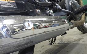 KAWASAKI W800 2021 EJ800B