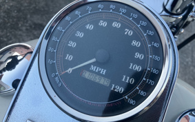 HARLEY HARLEY FLSTS1450 2010 BRL