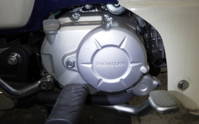 HONDA C110 SUPER CUB 2024 JA42