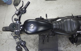 HARLEY XL883N 2019