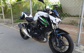 KAWASAKI Z250ABS EX250P