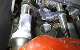 KAWASAKI NINJA 250 2009 EX250L