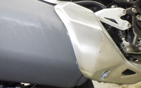 KAWASAKI NINJA 250 2019