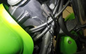 KAWASAKI NINJA 250 EX250L