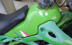 KAWASAKI KDX250SR DX250F