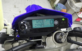 YAMAHA WR250R 2022 DG15J