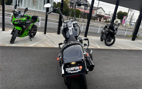 HARLEY  HARLEY FLFBS 2021 YGK