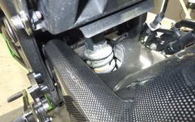 KAWASAKI NINJA 250 EX250L