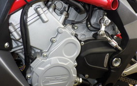 MV AGUSTA F3 800 2023