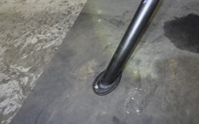 KAWASAKI Z250 Gen.2 2023 EX250Y