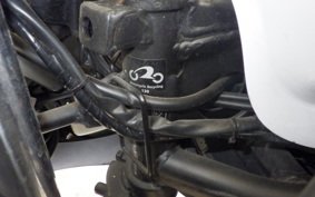 KAWASAKI NINJA 250 EX250L