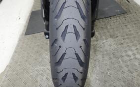 TRIUMPH TRIDENT 800 2026