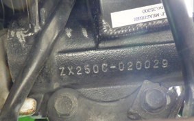 KAWASAKI ZXR250 Gen.2 ZX250C