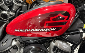 HARLEY RH975 NIGHT STAR 2022 ZH1