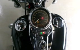 HARLEY FLSTC 2014 BW5