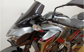 KAWASAKI Z900 2019 ZR900B