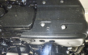 TRIUMPH SCRAMBLER 900 2025