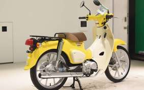 HONDA C110 SUPER CUB