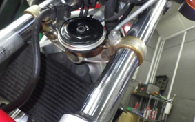 HONDA VTR 250 Gen. 2 2017 MC33