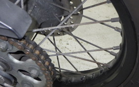 YAMAHA TRICKER DG10J