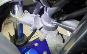 KAWASAKI NINJA 250 EX250L