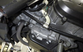 HONDA ZOOMER AF58