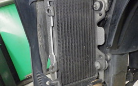 YAMAHA WR250X 2026 DG15J