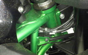 KAWASAKI ZH2 2020 ZRT00K