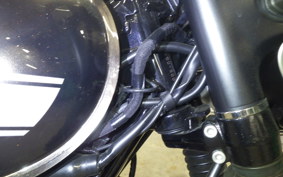 KAWASAKI W800 CAFE 2019 EJ800B
