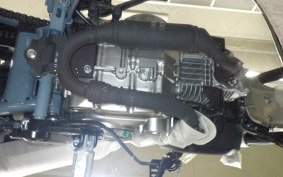 HONDA MONKEY 125 2021 JB05