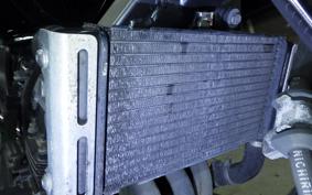 HONDA HORNET 250 MC31