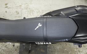 YAMAHA WR250X 2020 DG15J