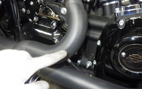HARLEY FLHXST1920 2022