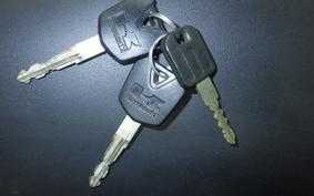 KAWASAKI NINJA 250 EX250L