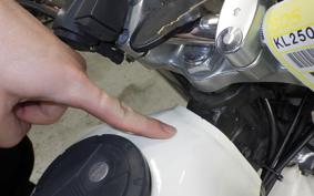 KAWASAKI SUPER SHERPA 2021 KL250G