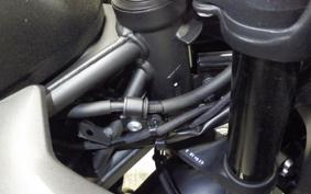 KAWASAKI ZX-4R SE 2023 ZX400P