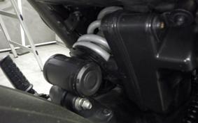 TRIUMPH SCRAMBLER400X 2024