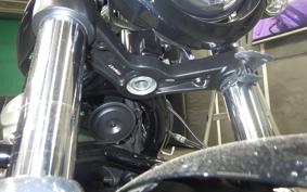 HARLEY RH975 2022