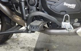 BENELLI TRX502X 2025