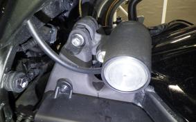 HONDA CBR600RR 2024 PC40