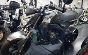 KAWASAKI Z125 PRO BR125H