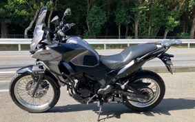 KAWASAKI VERSYS-X 250 ABS LE250D