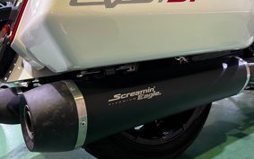 HARLEY  HARLEY FLTRXSTSE CVO 2024 TL8