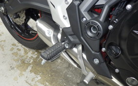 KAWASAKI Z650 A 2022 ER650H