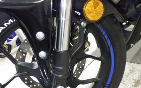 YAMAHA YZF-R25 2024 RG43J