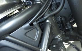HONDA REBEL 250 S 2021 MC49