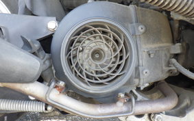 HONDA BENLY 110 JA09